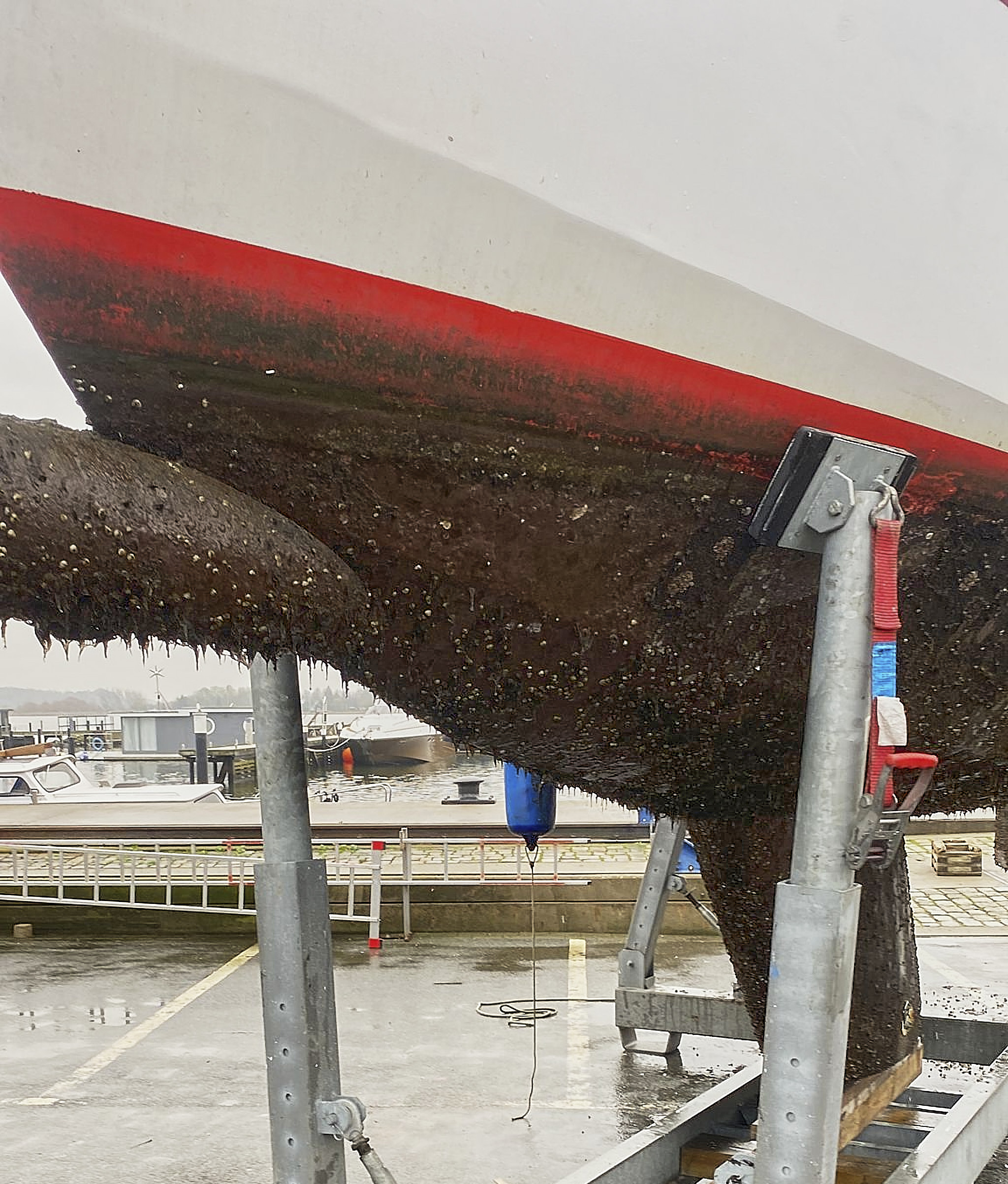 Julia kommt im Dezember 2022 aus dem Wasser und braucht ein Unterwasser Refit.