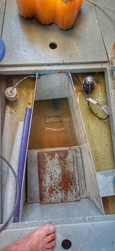 Zu viel Wasser in der Bilge.