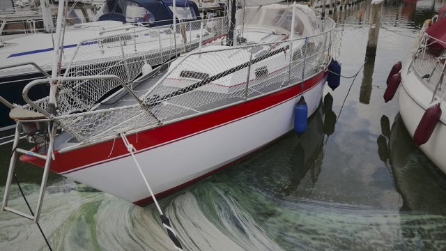 Segelboot Julia