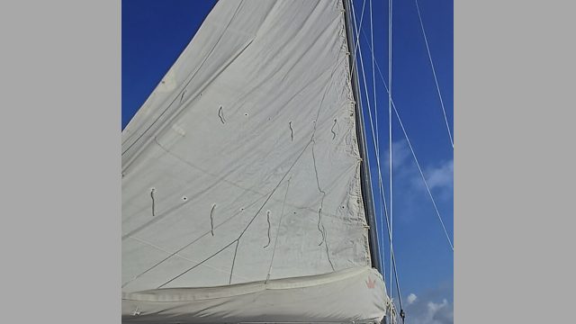 Segelboot Julia